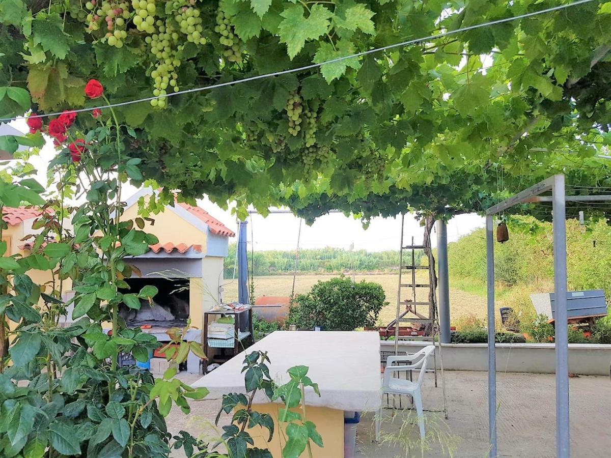 אורוסיי Villetta Su Barrali מראה חיצוני תמונה